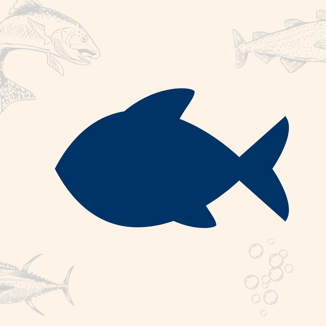 Festin de poissons à nageoires
