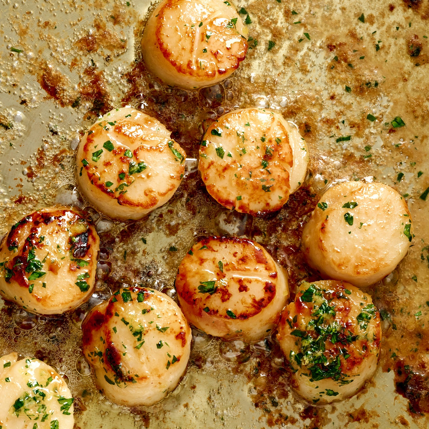 Atlantic Scallops