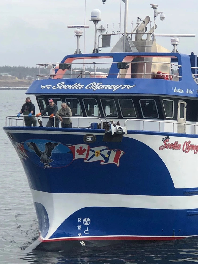 Scotia Osprey Boat