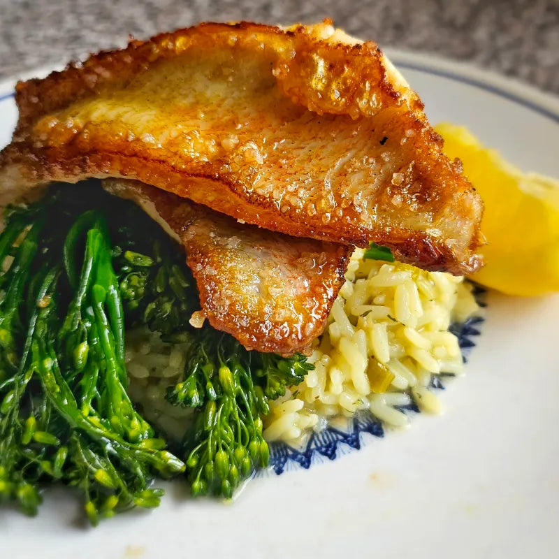 Ocean Perch