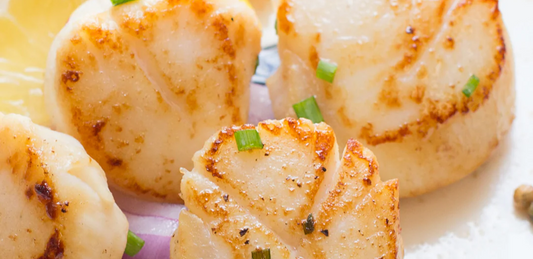 What Quebec Customers Order First: Seven Canadian Seafood Catches That Travel and Store Well
