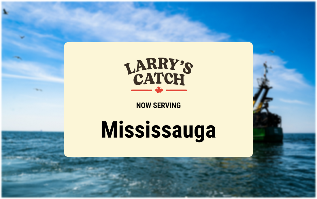 Mississauga Seafood Market Delivery: Premium, Sustainable Seafood at Your Fingertips