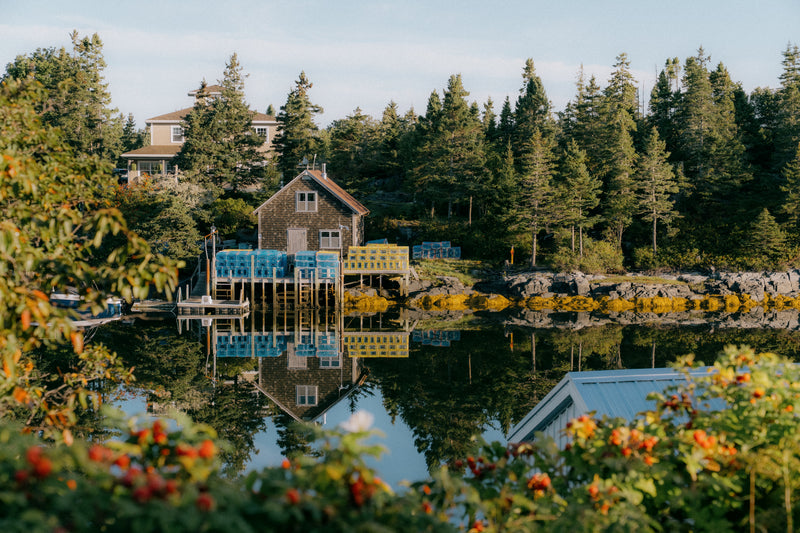 Larry's Catch on the Nova Scotia coast