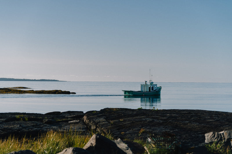 Larry's Catch on the Nova Scotia coast