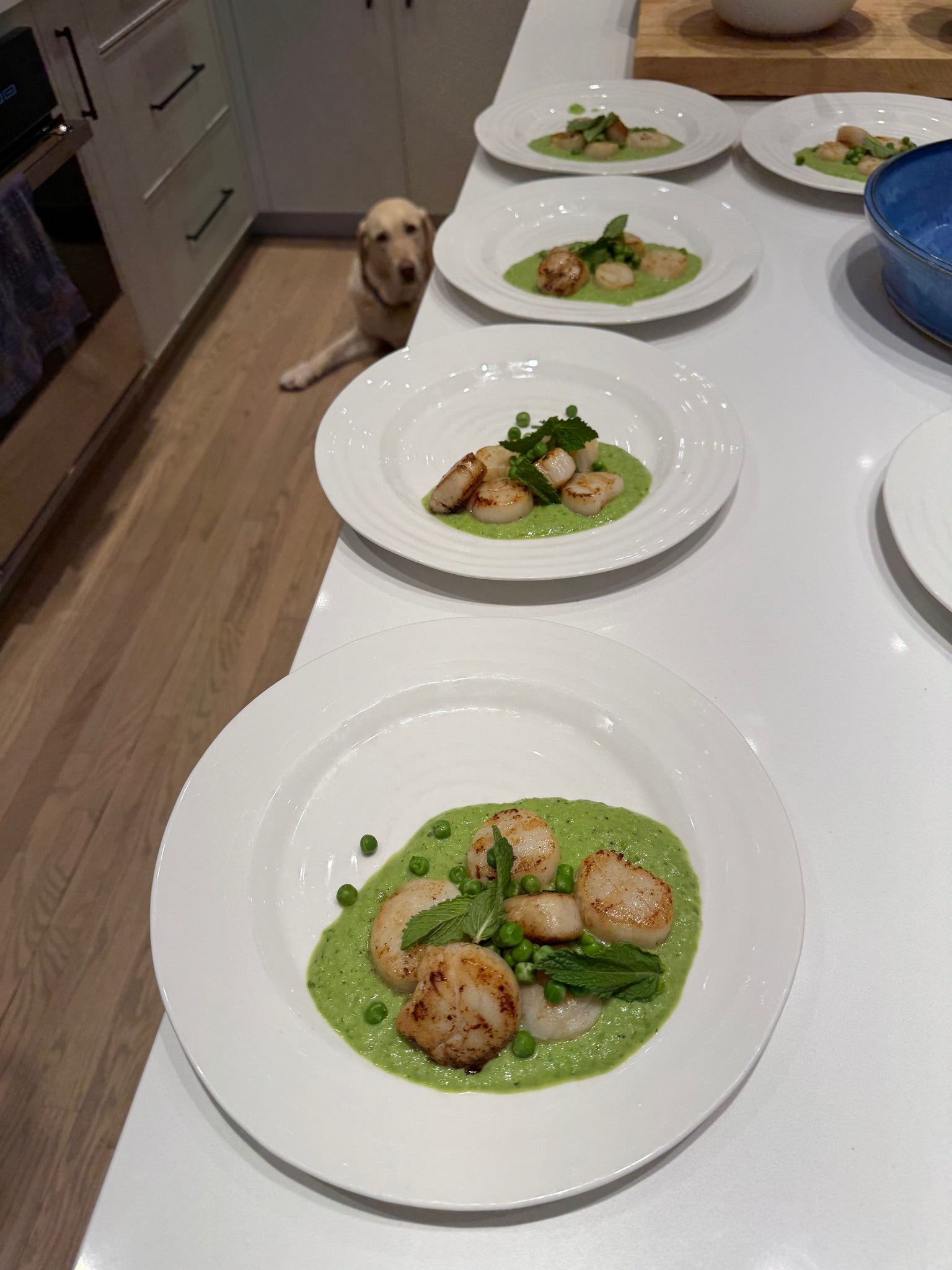 Scallops 6.jpeg